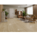 SPC ламинат Alpine Floor  Grand Sequoia Village Камфора ECO 11-507
