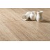 Ламинат Kronopol Venus Platinum Pandora Oak 3747
