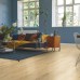 Ламинат Pergo Skara Pro Дуб Исландия L1251-04297
