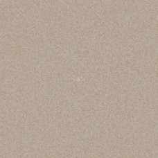 Коммерческий линолеум Tarkett Pragmatic Focus 1